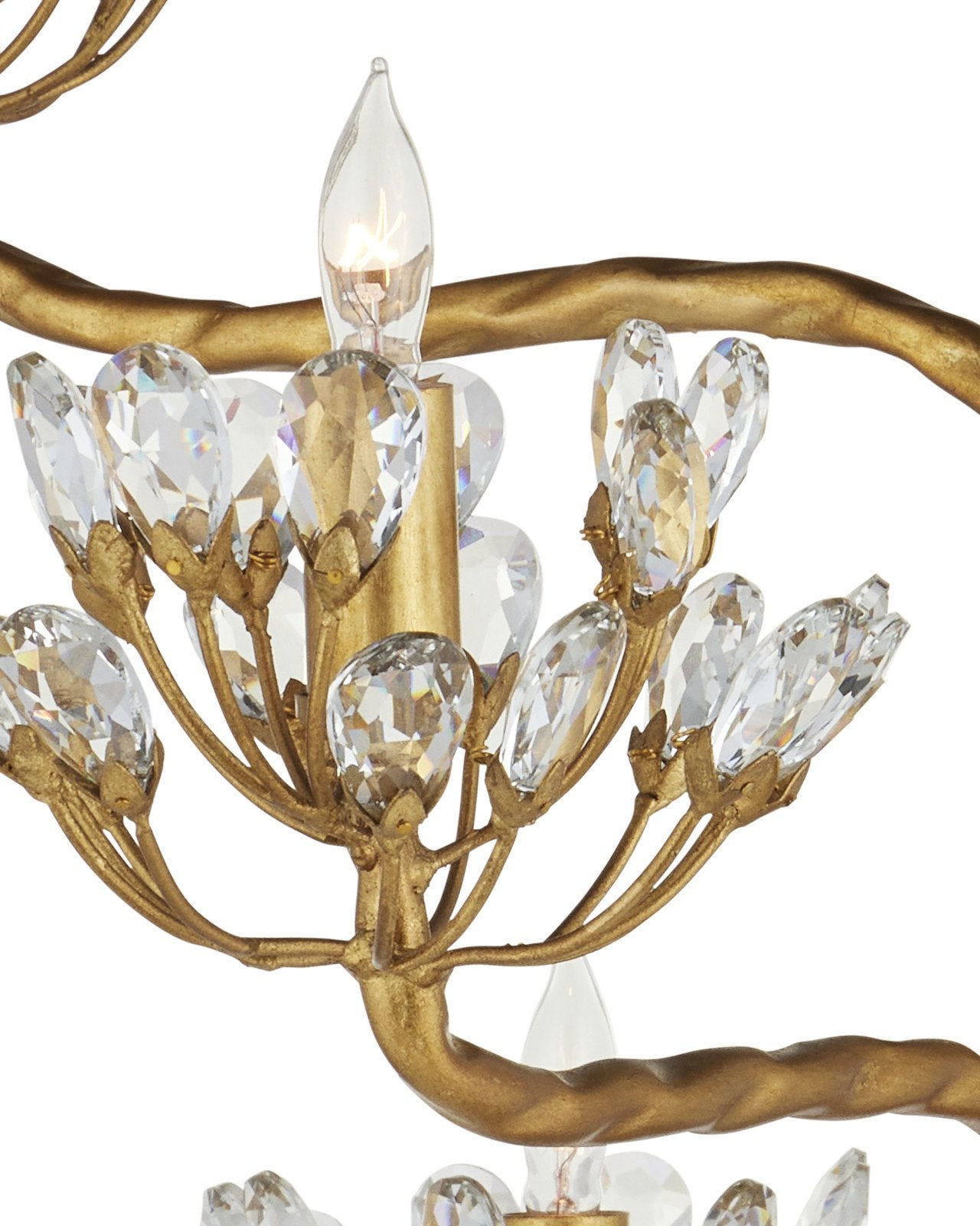 Agave Americana Gold Floor Lamp